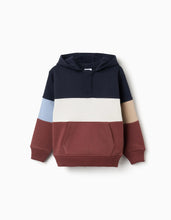 Carregar imagem no visualizador da galeria, Sweat de felpa com capuz e colour block para menino, multicolor
