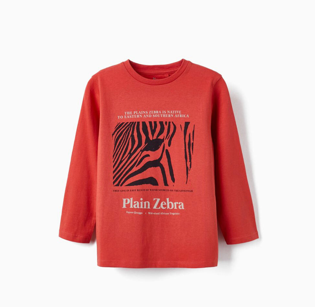 Sweatshirt Zebra