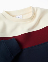 Carregar imagem no visualizador da galeria, Sweatshirt Cardada
